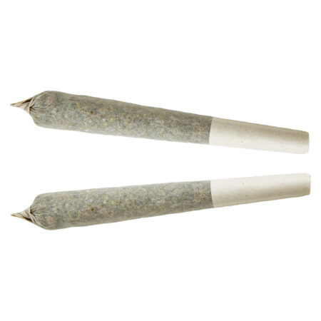 XPLOR - Indica Pre-roll - 1x1g