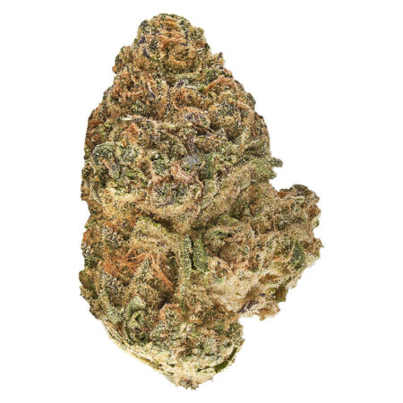 Redecan - Animal Rntz - 1g